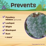 Captain Jack's Citrus, Fruit, & Nut Orchard Spray Concentrate product infographic
