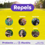 Repels-All Animal Repellent Ready-to-Use product infographic