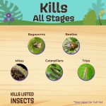 Captain Jack's DeadBug Brew® Ready-to-Use product infographic