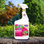 Captain Jack’s DeadBug Brew® Ready-to-Use