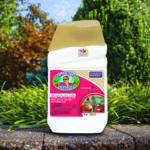 Captain Jack’s DeadBug Brew® Concentrate