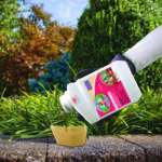 Captain Jack’s DeadBug Brew® Concentrate