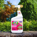 Captain Jack’s DeadBug Brew® Ready-to-Spray