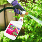 Captain Jack’s DeadBug Brew® Ready-to-Spray