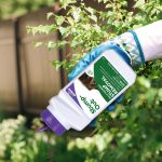 Stump-Out DIY Stump Removal Granules in use