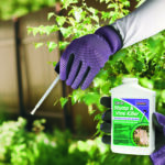 Stump & Vine Killer Concentrate