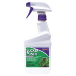 Sucker Punch® RTU