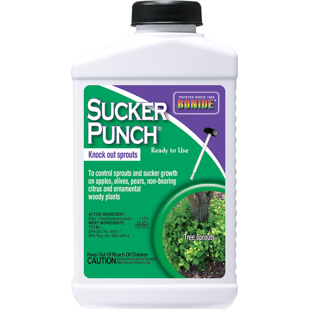 Sucker Punch® Ready-to-Use