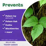 Poison Ivy & Brush Killer Bk-32 Concentrate product infographic