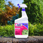 Eight Insect Control for Garden & Home: Ready-to-Use Spray