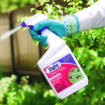 Eight Insect Control for Garden & Home: Ready-to-Use Spray