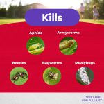 Eight Vegetable, Fruit, & Flower Concentrate product infographic