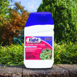 Eight Vegetable, Fruit, & Flower Concentrate