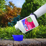 Eight Vegetable, Fruit, & Flower Concentrate