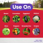Tomato & Blossom Set Spray RTU (CA) product infographic