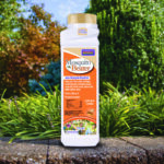 Mosquito Beater Granules