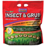 Insect & Grub Control