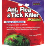 Ant, Flea & Tick Killer