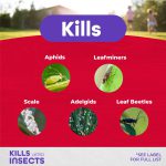 Annual Tree & Shrub Insect Control w/ Systemaxx Conc product infographic