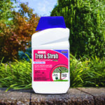Annual Tree & Shrub Insect Control w/ Systemaxx Conc