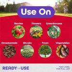 Insecticidal Soap RTU product infographic
