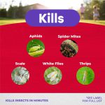 Insecticidal Soap RTU product infographic