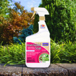 Insecticidal Soap RTU