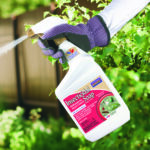 Insecticidal Soap RTU