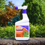 Mosquito Beater RTS