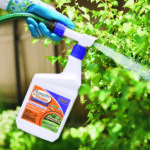 Mosquito Beater RTS