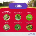 Colorado Potato Beetle Conc product infographic