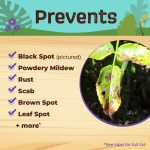 Tomato & Vegetable 3-in-1 Ready-to-Use product infographic