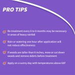 KleenUp 365 Weed & Grass Killer RTU product infographic