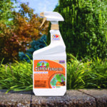 Captain Jack’s Liquid Copper Fungicide Ready-to-Use