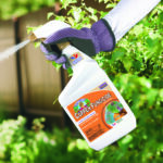 Captain Jack’s Liquid Copper Fungicide Ready-to-Use