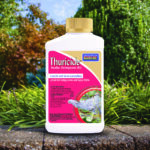 Thuricide Concentrate