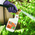 Liquid Copper Fungicide Ready-to-Spray