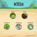 Captain Jack's Rose Rx® 4-in-1 Concentrate product infographic