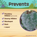 Captain Jack's Rose Rx® 4-in-1 Concentrate product infographic