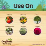 Captain Jack's Rose Rx 4 in 1 Ready to Use product infographic