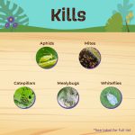 Captain Jack's Rose Rx 4 in 1 Ready to Use product infographic