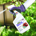 Captain Jack’s Rose Rx 4 in 1 Ready to Use