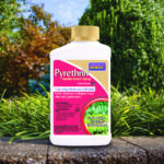 Pyrethrin Garden Spray Concentrate