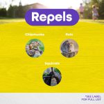 Rat Magic Rodent Repellent Granules product infographic