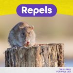 Mouse Magic Ready-to-Use Scent Packs product infographic