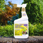 Chipmunk, Squirrel & Rodent Repellent Ready-to-Spray