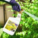 Chipmunk, Squirrel & Rodent Repellent Ready-to-Spray