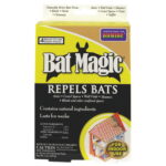 Bat Magic® Place Packs