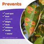 Fung-onil Fungicide Ready-to-Use product infographic