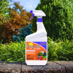 Fung-onil Fungicide Ready-to-Use